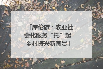 库伦旗：农业社会化服务“托”起乡村振兴新图景