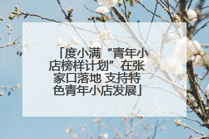 度小满“青年小店榜样计划”在张家口落地 支持特色青年小店发展