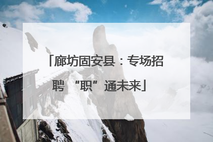 廊坊固安县：专场招聘 “职”通未来