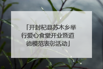开封杞县苏木乡举行爱心食堂开业暨道德模范表彰活动