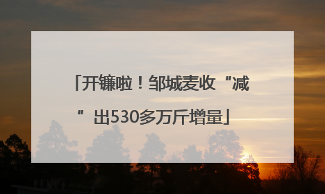 开镰啦！邹城麦收“减”出530多万斤增量