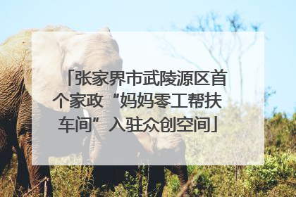 张家界市武陵源区首个家政“妈妈零工帮扶车间”入驻众创空间