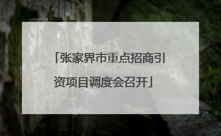 张家界市重点招商引资项目调度会召开