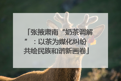 张掖肃南“奶茶调解”：以茶为媒化纠纷 共绘民族和谐新画卷