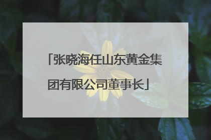张晓海任山东黄金集团有限公司董事长