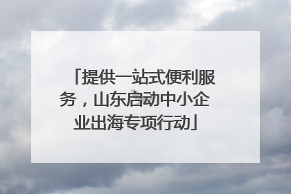 提供一站式便利服务，山东启动中小企业出海专项行动