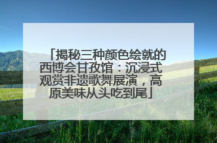 揭秘三种颜色绘就的西博会甘孜馆：沉浸式观赏非遗歌舞展演，高原美味从头吃到尾