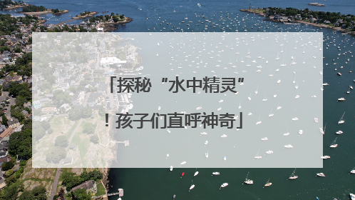 探秘“水中精灵”！孩子们直呼神奇