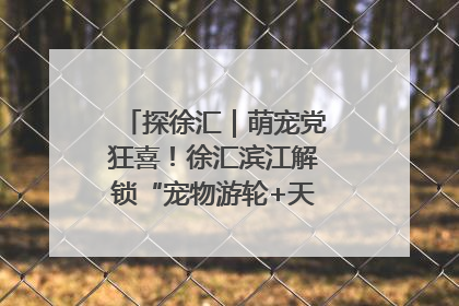 探徐汇｜萌宠党狂喜！徐汇滨江解锁“宠物游轮+天台乐园”双玩法