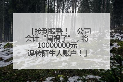 接到报警！一公司会计“闯祸了”，将10000000元误转陌生人账户！