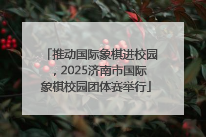 推动国际象棋进校园，2025济南市国际象棋校园团体赛举行