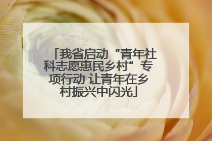 我省启动“青年社科志愿惠民乡村”专项行动 让青年在乡村振兴中闪光