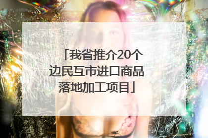 我省推介20个边民互市进口商品落地加工项目