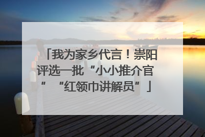 我为家乡代言！崇阳评选一批“小小推介官”“红领巾讲解员”