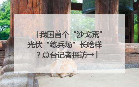 我国首个“沙戈荒”光伏“练兵场”长啥样？总台记者探访→