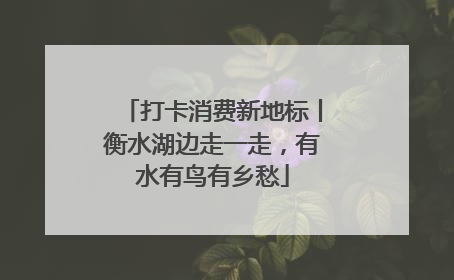打卡消费新地标丨衡水湖边走一走，有水有鸟有乡愁