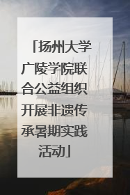 扬州大学广陵学院联合公益组织开展非遗传承暑期实践活动