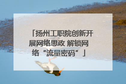 扬州工职院创新开展网络思政 解锁网络“流量密码”