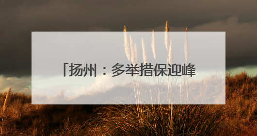 扬州：多举措保迎峰度夏电力稳定供应