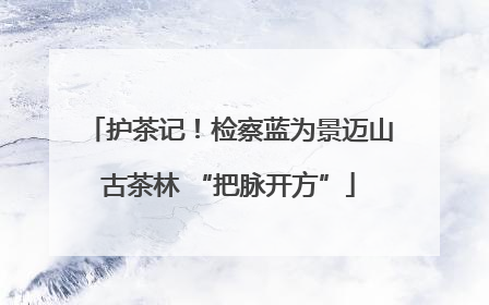 护茶记！检察蓝为景迈山古茶林 “把脉开方”