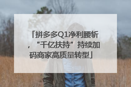 拼多多Q1净利腰斩，“千亿扶持”持续加码商家高质量转型