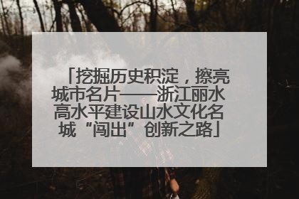 挖掘历史积淀，擦亮城市名片——浙江丽水高水平建设山水文化名城“闯出”创新之路