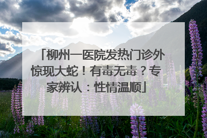 柳州一医院发热门诊外惊现大蛇！有毒无毒？专家辨认：性情温顺