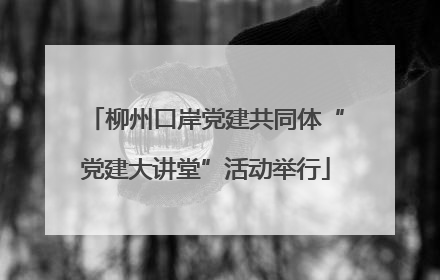 柳州口岸党建共同体“党建大讲堂”活动举行
