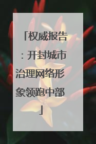 权威报告：开封城市治理网络形象领跑中部