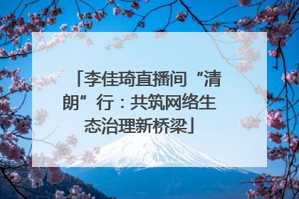 李佳琦直播间“清朗”行：共筑网络生态治理新桥梁