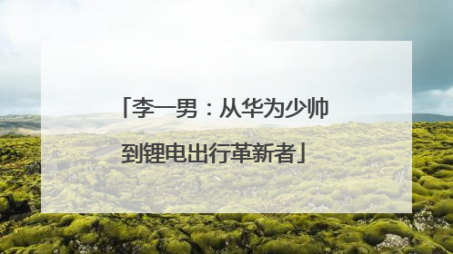 李一男：从华为少帅到锂电出行革新者