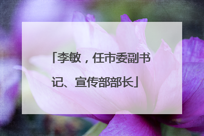 李敏，任市委副书记、宣传部部长