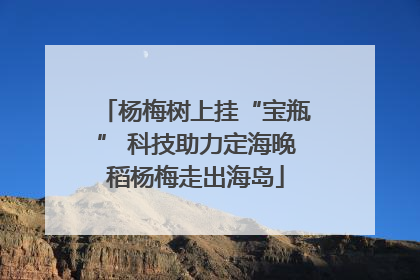 杨梅树上挂“宝瓶” 科技助力定海晚稻杨梅走出海岛
