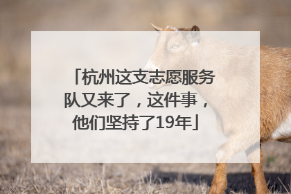 杭州这支志愿服务队又来了，这件事，他们坚持了19年
