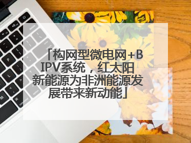 构网型微电网+BIPV系统，红太阳新能源为非洲能源发展带来新动能