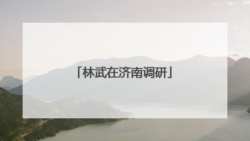 林武在济南调研