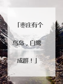 枣庄有个鸟岛，白鹭成群！