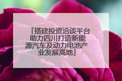 搭建投资洽谈平台 助力四川打造新能源汽车及动力电池产业发展高地