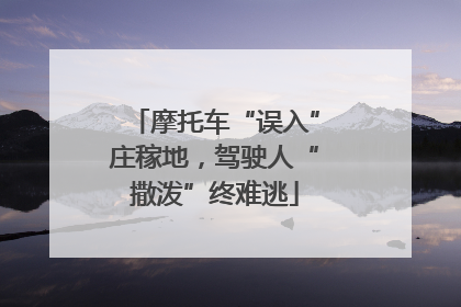 摩托车“误入”庄稼地，驾驶人“撒泼”终难逃