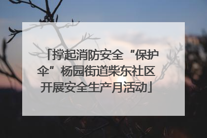 撑起消防安全“保护伞”杨园街道柴东社区开展安全生产月活动