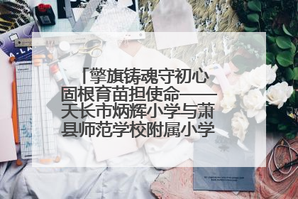 擎旗铸魂守初心 固根育苗担使命——天长市炳辉小学与萧县师范学校附属小学结对共建活动纪实