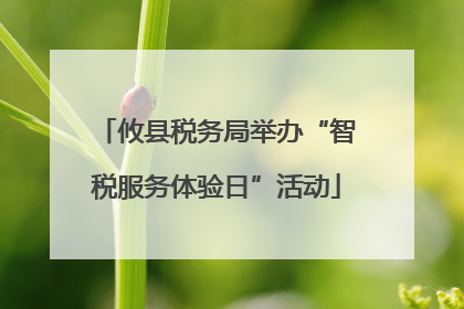 攸县税务局举办“智税服务体验日”活动
