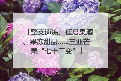 整支速冻、低度果酒、果冻甜品……三亚芒果“七十二变”