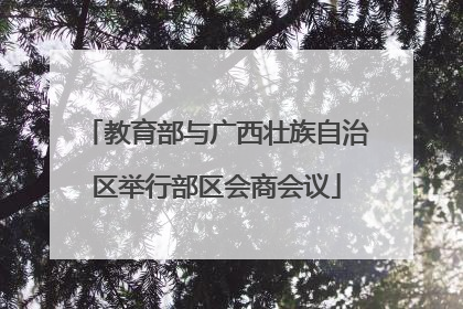教育部与广西壮族自治区举行部区会商会议