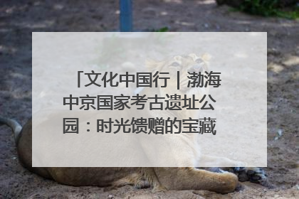 文化中国行｜渤海中京国家考古遗址公园：时光馈赠的宝藏 历史凝固的诗篇