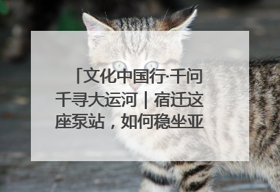 文化中国行·千问千寻大运河｜宿迁这座泵站，如何稳坐亚洲第一宝座？