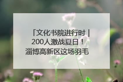 文化书院进行时｜200人激战夏日！淄博高新区这场羽毛球比赛太酷