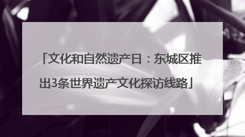 文化和自然遗产日：东城区推出3条世界遗产文化探访线路