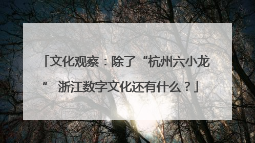 文化观察：除了“杭州六小龙” 浙江数字文化还有什么？