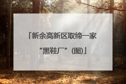 新余高新区取缔一家“黑鞋厂”(图)
